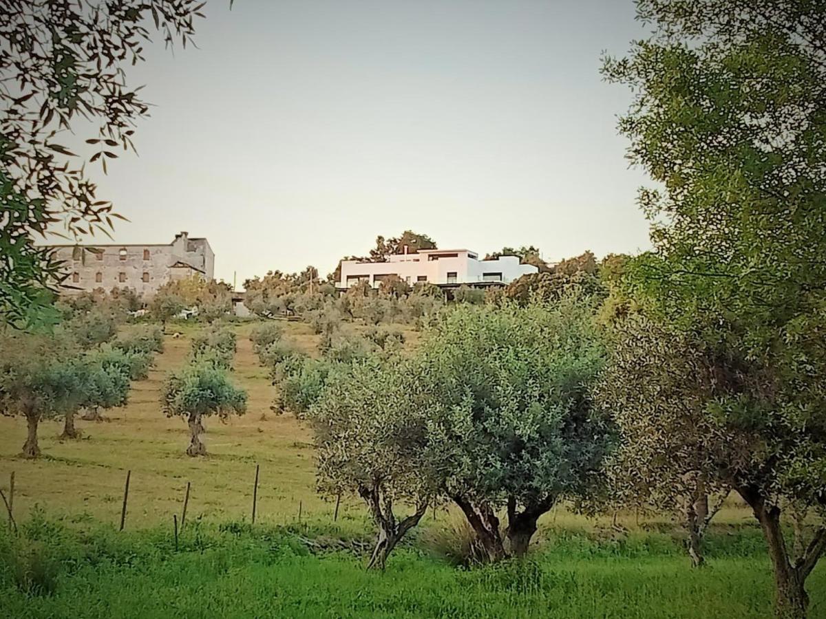 Retiro Da Cegonha Villa Крато Екстериор снимка